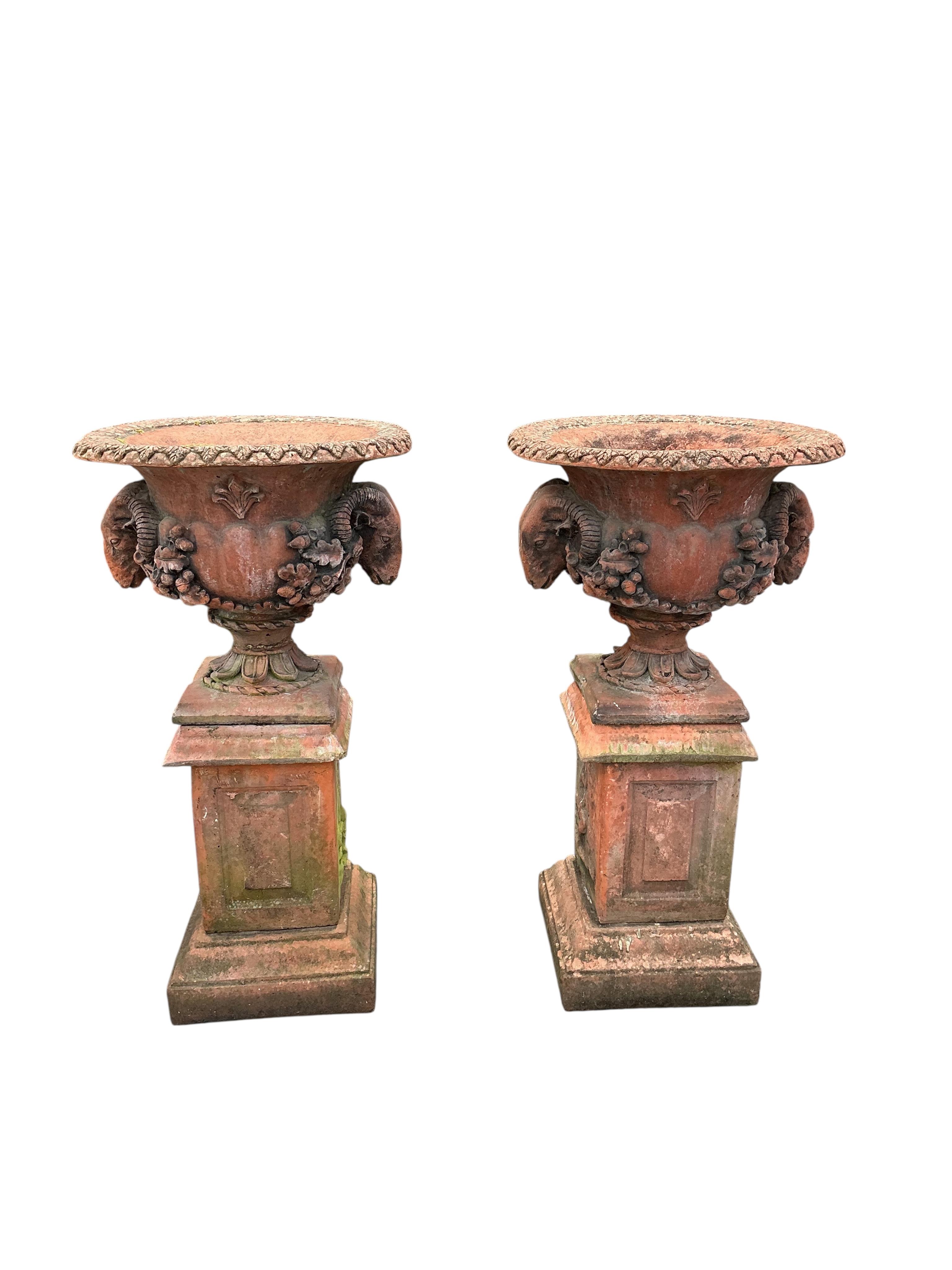 A pair of terracotta ram's head circular garden urns, on square pedestal bases, diameter 52cm, height 98cm